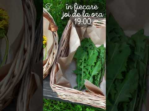 #Plante medicinale -2