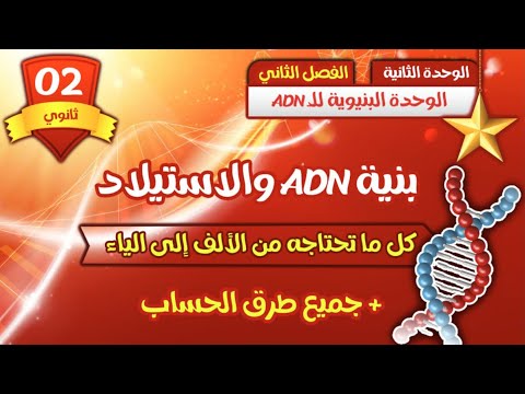 ثانية ثانوي🧬 بنية ADN والاستيلاد 🏅 من الألف إلى الياء 🧬 كل ما تحتاجه 