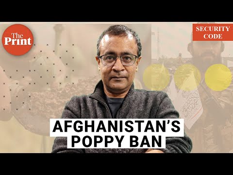 Afghanistan is starving—and its farmers are fighting to save the poppy