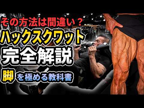 【脚トレ】スクワットが合わない人必見！世界王者が一番好きな『ハックスクワット』を徹底解説