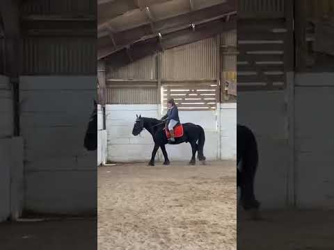 Me trotting on Danny without stirrups for the first bit of my lesson after that riding with stirrup