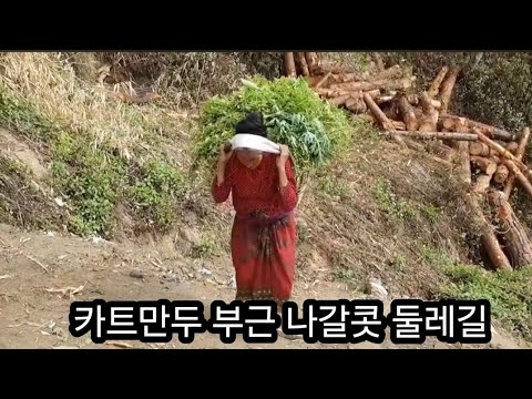 편안하던 시절의 네팔 <strong>둘레길</strong> 산책