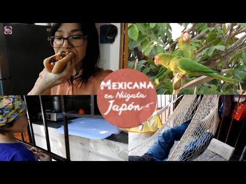 Mauro va por las tortillas/receta  estilo Mexicano/Mexicana en Niigata Japon