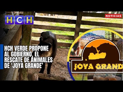 HCH VERDE propone al gobierno, el rescate de animales de ‘Joya Grande’