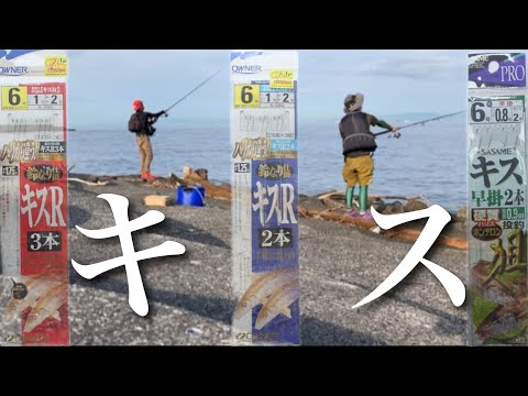 【愛知県釣り、後編】つづき！キスを釣りに行きましたら、〇〇が釣れました。　#愛知県　#釣り  #大野漁港