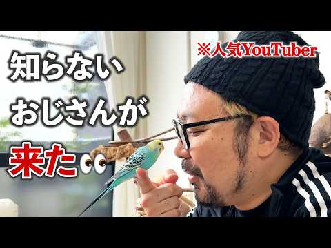 【人気YouTuber襲来！】インコたちの反応とまさかの結末🤣