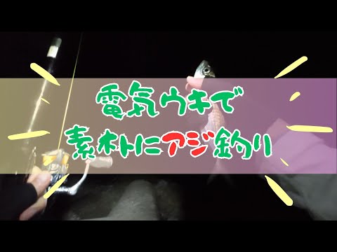 電気ウキで素朴にアジを釣る