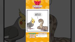 cuál es la diferencia? 😸 #humor #fandub