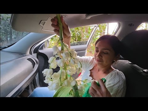 Vamos a Traer a mi Sobrino José del hospital 