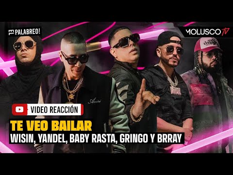 Wisin, Yandel, Baby Rasta y Gringo reviven “ Te Veo Bailar” junto a Brray