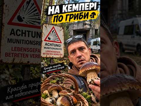 Прем’єра нового відео — завтра ввечері! 🎬🍄 #camper #campinglife