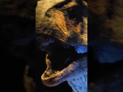 🦕 dinosaurs still alive ไดโนเสาร์ยังมีชีวิตอยู่ #ไดโนเสาร์ #dinosaurs #จูราสสิคเวิลด์ #Jurassicworld