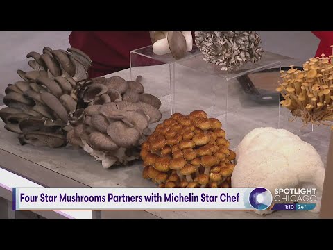 Four Star Mushrooms Partners with Michelin Star Chef