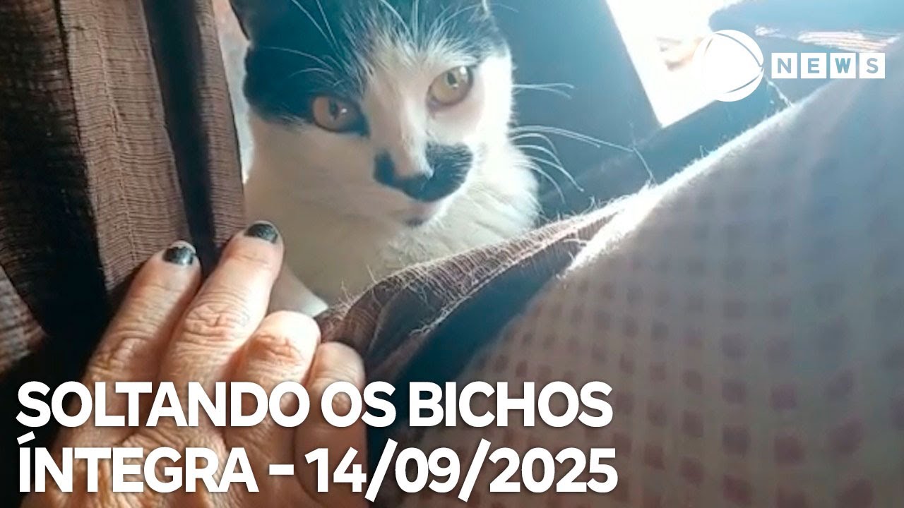 Soltando os Bichos – 14/09/2025