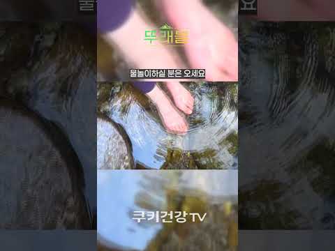 올여름 여기 꼭 가세요 #여름 #여름휴가 #<strong>계곡</strong>