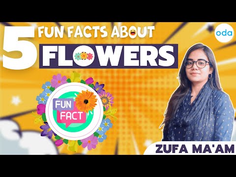 5 Fun Facts About Flowers | Biology
