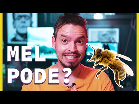 VEGANO COME MEL DE ABELHA?!