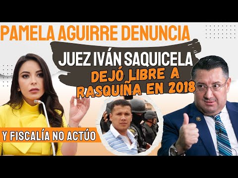 Pamela Aguirre denuncia: Juez Saquicela Dejó Libre a Rasquiña en 2018 y Fiscalía No Actuó