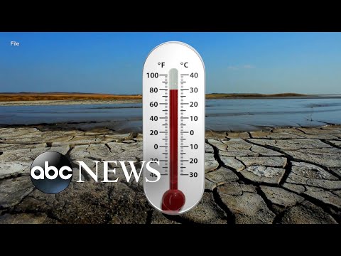 2022 was 5th-warmest year on record: Experts
