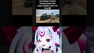 Bao Got a Viral Sound Alert