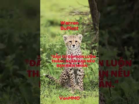 Tài Chính Thông Minh