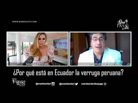 ¿Qué pasa? Dr. Marcelo Aguilar ¿Por qué está en Ecuador  la verruga peruana?