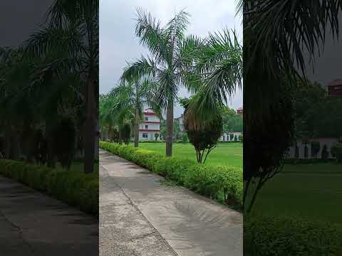 #miet #weather #vibes #nature #trendingshorts #trendingvideo #story #subscribemychannel