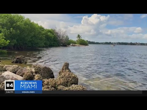 Artist uses concrete slabs to bring attention to South Florida's rising sea level