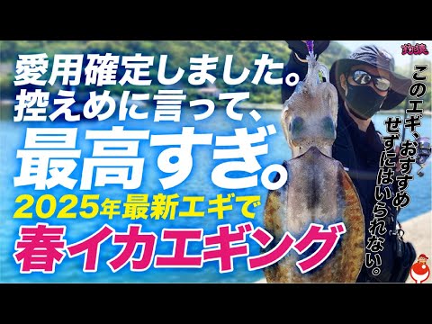【エギング】愛用確定!2025年春、最新モデルで春イカ攻略!もうエギの進化が止まらない!