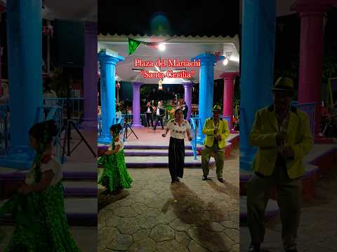 #descubrechiapas #dance #usa #mariachi #florida #mariachienvivo #mexico #musica