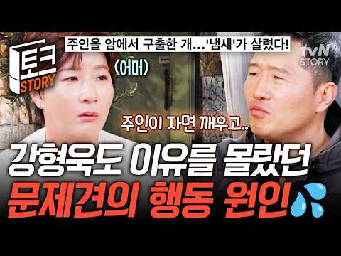 강형욱도 해결 못 한 문제견💦 강아지가 <strong>보호자를</strong> 계속해서 물었던 충격적인 이유는?🐶 #남겨서뭐하게