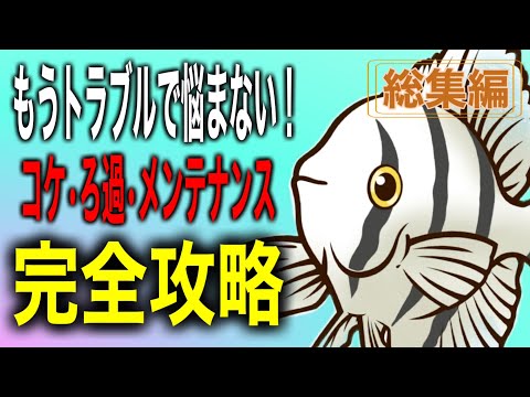 【永久保存版】もう水槽トラブルで悩まない！コケ・ろ過・メンテナンスのお悩み解決！完全攻略総集編【淡水魚 アクアリウム】