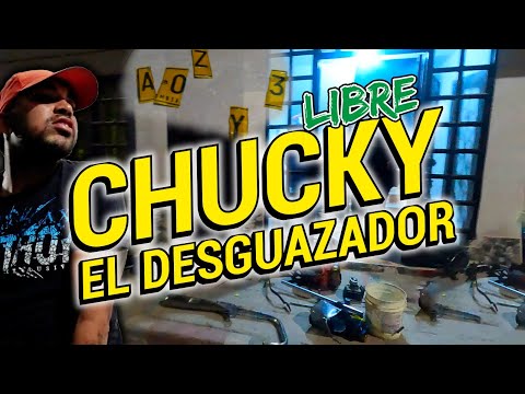CHUCKY; Ladrón desesperado, la PICÓ EN EL BAÑO