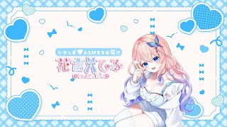 【花宮てふ】登録者2万人記念晩酌✨※アーカイブのこるかわかりません【花宮てふ／Vtuber】