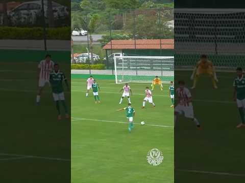 image para ilustrar o artigo