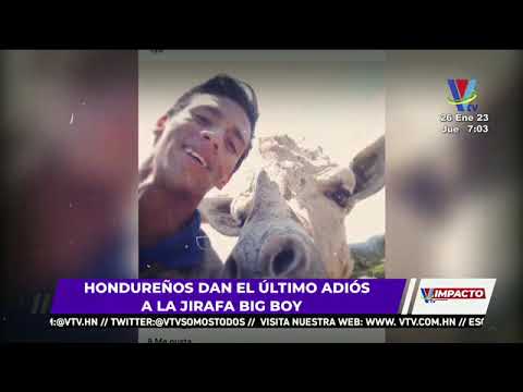 Hondureños dan el último adiós a la jirafa Big Boy