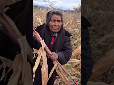 Su vida fue hambre y silencio