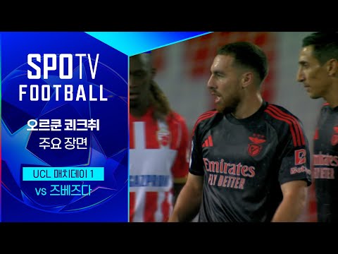 [24/25 UCL] 즈베즈다 vs 벤피카 오르쿤 쾨크취 주요장면｜SPOTV FOOTBALL