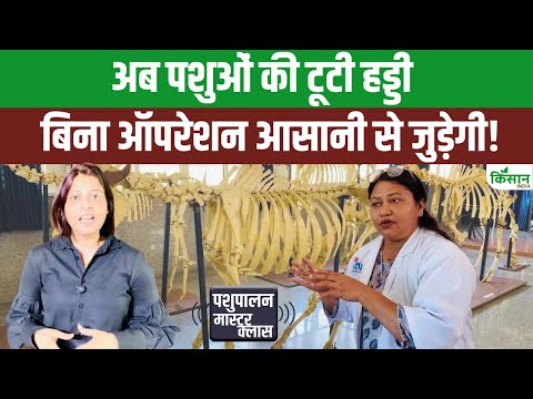 एक ऐसा चमत्कारी बायो ग्लू जो बिना ऑपरेशन जोड़ देगा जानवरों की टूटी हड्डियां। Bio Glue। IVRI Bareilly