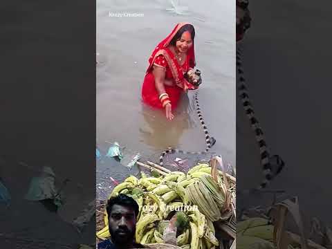 यह देखो छठी मैया सांप के रूप में आए हैं