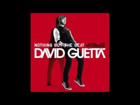 David Guetta - Play Hard (feat. Ne-Yo & Akon) [Audio]