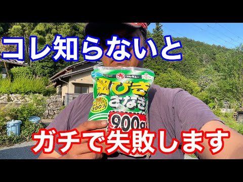 【チヌ釣り】マルキユー の細びきさなぎではダメなんです【紀州釣り】