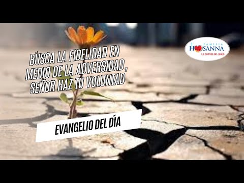 Busca la fidelidad en medio de la adversidad #Evangelio?DeHoy Lunes 30 Septiembre 2024 #PadreJohn