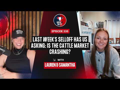 338: Last Week’s Selloff Has Us Asking: Is the Cattle Market Crashing? With Samantha Cozza-Wright