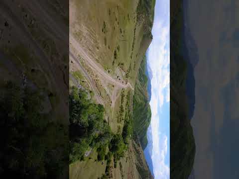 Found Vinland #vinlandsaga #vinland #nature #kazakhstan #mountains #roadtrip #shorts