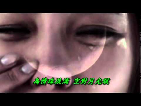 台語陳年老歌 離別傷心曲 紀露霞  演唱