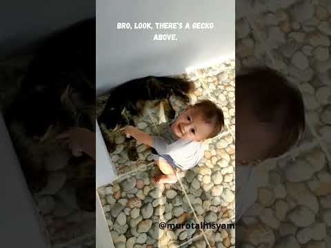 Funny cat and Baby Interaction | Cute Baby #funny #funnycats #funnykids #cutebaby #cutecat #cutebaby