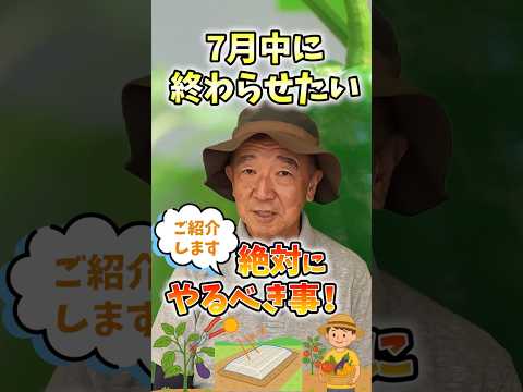 家庭菜園や農園の夏野菜栽培で7月中に終わらせたい重要作業３選！【農家直伝】#shorts