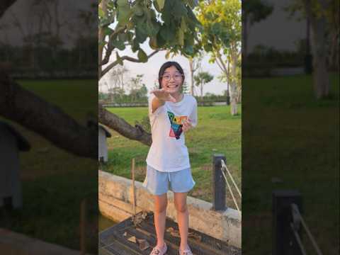 Cool Bro‼️ Help Girl Cross The Lake | JJaiPan #Shorts #funny #pets