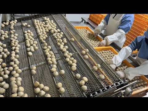 놀라운 만두 공장의 어묵피로 만드는 특허받은 치즈 만두 생산 과정 Dumpling factory's cheese dumpling making - Korean street food